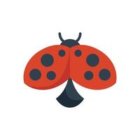 Cute ladybug flying with open wings icon vector