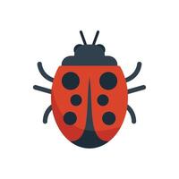 Red ladybug insect spreading its wings on white background vector