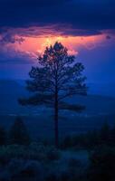 A tree is silhouetted against a dark sky with a bright lightning bolt. The sky is filled with clouds and the tree is the only object visible. Scene is serene and peaceful, with the tree standing tall photo
