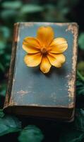 A yellow flower is on top of a book. The flower is in the center of the book and is surrounded by the pages. The book is old and has a worn look to it. The flower adds a touch of color photo