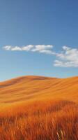 Orange grass in hills and blue-sky view, nature outdoor environment story background photo
