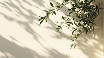 Blank wall building with shadow sunlight light from window and plant copy space background photo