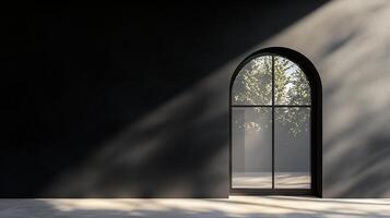 Aesthetic arch window shape on black wall with shadow leaves tree classing building architecture photo