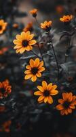 Captivating yellow flower dramatic photo effect dark deep blurred background portrait style