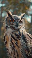 Owl bird on tree closeup portrait with blurred background green forest photo