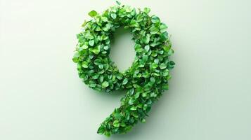 The number 9 is framed by a series of green leaves solid background photo