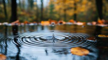 Water droplet falling creating concentric ripples on pond in autumn photo