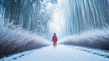 Person Walking Through Snowy Bamboo Forest photo