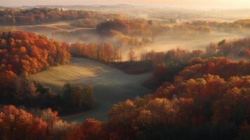 Misty Autumn Forest Landscape with Rolling Hills photo