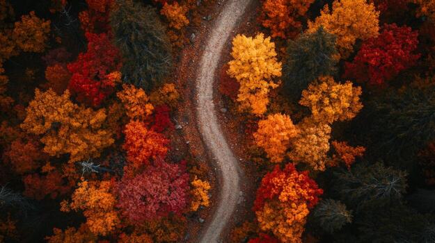 aéreo ver de un devanado camino mediante un bosque con vibrante otoño follaje foto