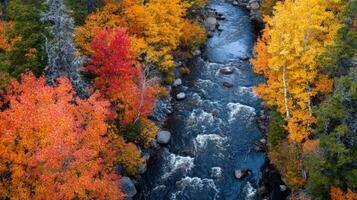 Aerial View of a River Flowing Through Vibrant Autumn Foliage photo