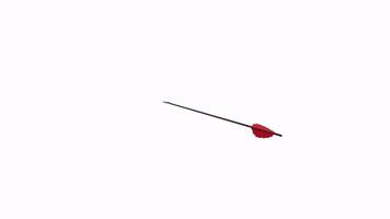 3D rendering of a red feathered arrow on a plain backdrop video