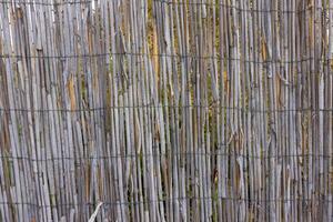 Natural Bamboo Fence Texture with Twine Ties for Rustic Outdoor Decor Background. photo