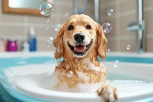 Cheerful dog enjoying a bubble bath, surrounded by soap bubbles photo