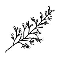 A branch with berries and leaves on it vector
