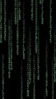 Matrix hacking display screen animation vertical background video