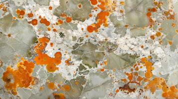 A close-up view of a jasper stone texture showcasing vibrant orange and gray patterns photo
