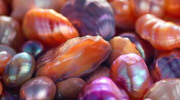 A colorful array of pearlescent shells with shimmering textures in natural light photo