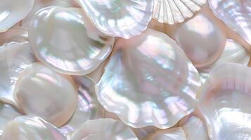 Beautiful collection of iridescent shells with a pearlescent background showcasing natural elegance photo