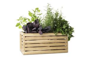 Wooden box with different herbs isolated on white background photo