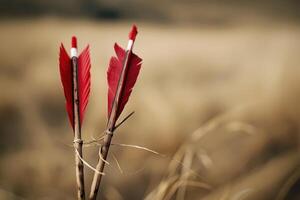 Two arrows standing upright in grass field with blurred background photo