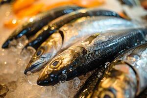 Fresh mackerel fish chilling on ice at the fish market photo