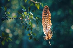 Single feather hanging on branch with green bokeh background photo