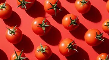 Red tomatoes on a red background top view photo