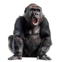 Angry gorilla on transparent background photo