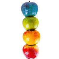 Stack of colorful apples with water droplets on transparent background photo