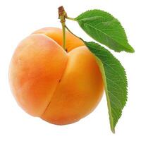 Fresh peach with leaf on transparent background photo