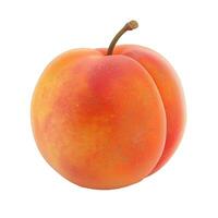 Fresh ripe peach isolated on transparent background photo