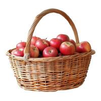 Wicker basket overflowing with freshly picked red apples photo