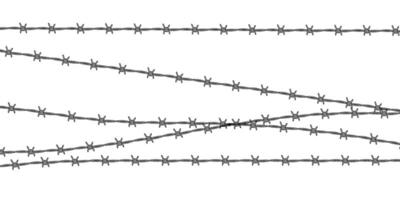 Barbed wire background. Protection concept. Design element for military, security, prison, slavery concepts vector