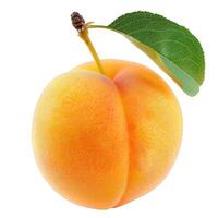 Fresh ripe apricot with leaf isolated on white background photo