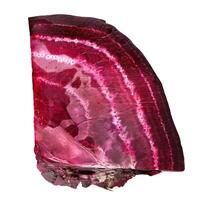 Slice of fresh beetroot showing the concentric rings detail photo