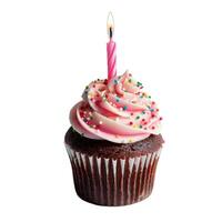 Chocolate birthday cupcake with lit candle and pink frosting on white background photo