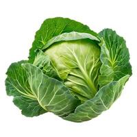 Fresh green cabbage with intact outer leaves isolated on white background photo