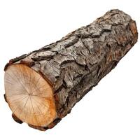 Tree log showing growth rings and rough bark isolated on white background photo