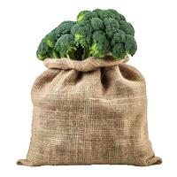 Fresh green broccoli heads overflowing from burlap sack photo