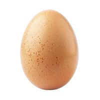 One single brown egg standing upright on white background photo