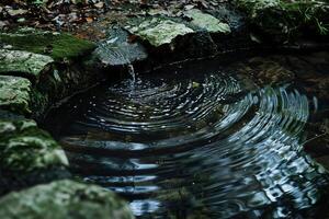 Water flows down moss covered rocks creating ripples in a pond photo