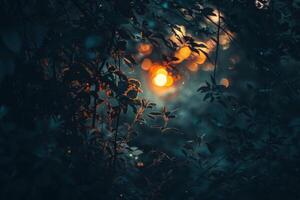 The sun is setting behind dark forest leaves creating a beautiful bokeh effect photo