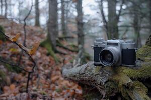 Vintage analog camera resting on mossy log in autumn forest photo