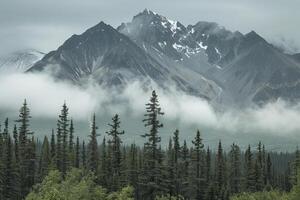 Clouds rolling over pine forest with mountain peak in background photo