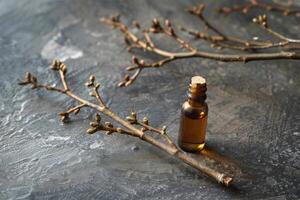 Small bottle with essential oil and tree branches with buds on grey background photo