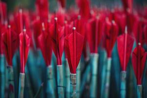 Red arrows standing in row in archery target waiting to be shot photo