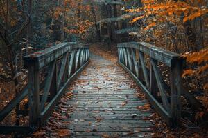 Wooden bridge crossing a small stream in the forest during peak fall foliage photo