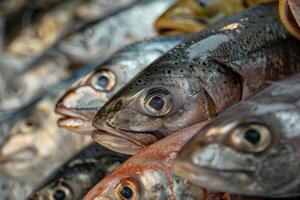 Fresh fish lying in a row at the market photo