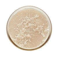 Sourdough starter fermenting in bowl top view photo